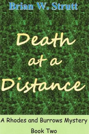 Cover of the book Death at a Distance by Cordia St Clair