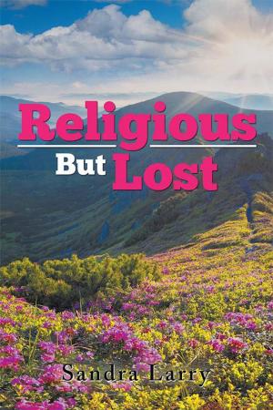 Cover of the book Religious but Lost by Walter ''Bud'' Stuhldreher