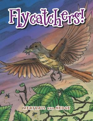 Cover of the book Flycatchers! by El Shaddai Gebreyes