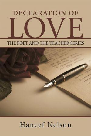 Cover of the book Declaration of Love by Enzo Malagisi