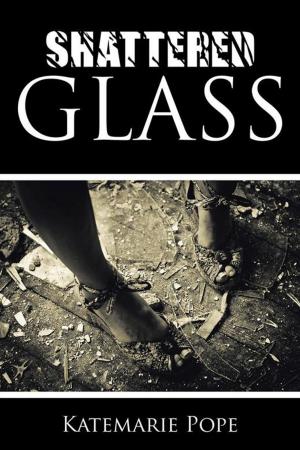 Cover of the book Shattered Glass by J. Harrison Drake