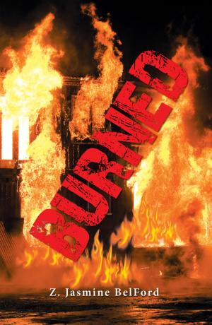 Cover of the book Burned by Wally Carew