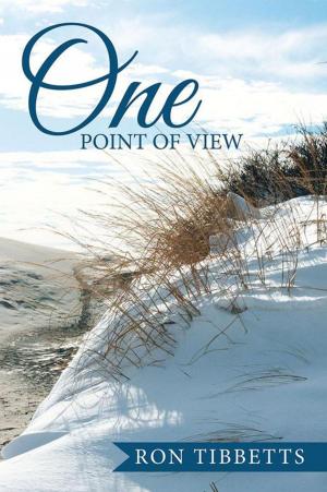 Cover of the book One Point of View by Allison M. Johnston