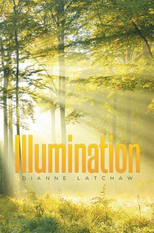 Cover of the book Illumination by Raymond A. Ramirez
