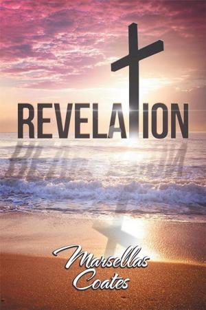 Cover of the book Revelation by Chriss Cudney