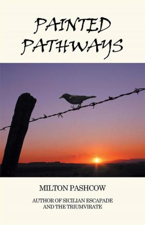 Cover of the book Painted Pathways by Michael Zilbering