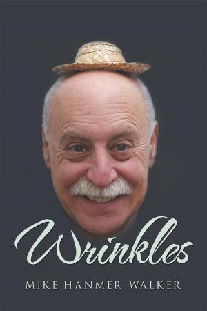 Cover of the book Wrinkles by Donna Marjorie Donzella