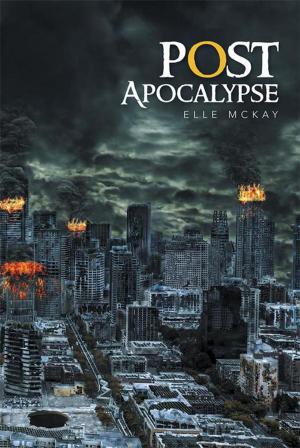 Cover of the book Post Apocalypse by Abby Nield