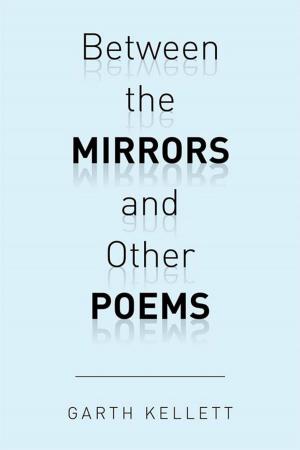 Cover of the book Between the Mirrors and Other Poems by Lola Akingbola