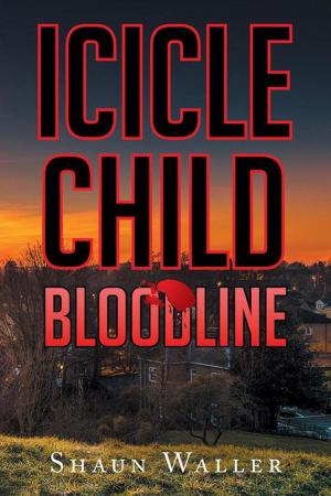 Book cover of Icicle Child