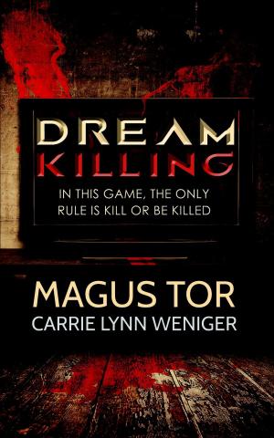Book cover of Dream Killing