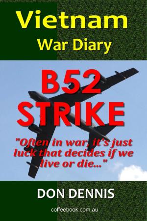 Cover of B-52 Strike