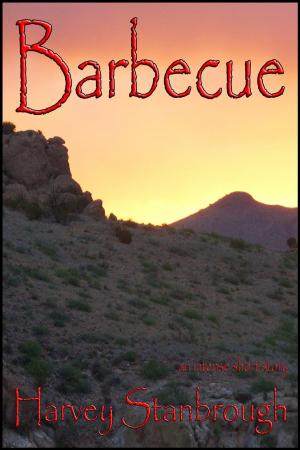 Cover of the book Barbecue by Josie Jaffrey