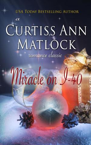 Cover of the book Miracle On I-40 by Barbara Cool Lee