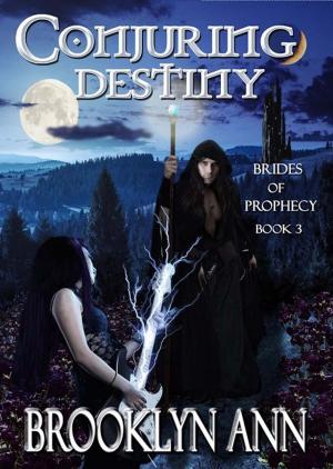 Book cover of Conjuring Destiny