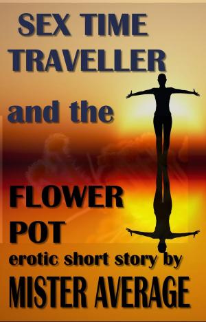 Cover of the book Sex Time Traveller and the Flower Pot by Donald Stephens