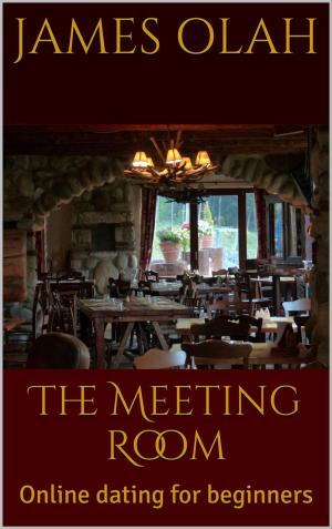 Cover of the book The Meeting Room: Online Dating for Beginners by John Martin