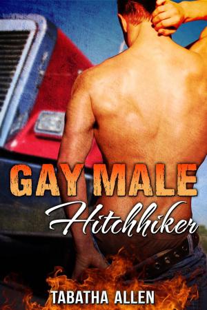 Cover of Gay Male Hitchhiker