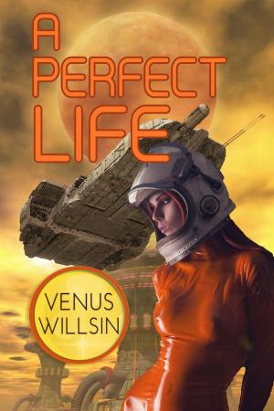 Book cover of A Perfect Life