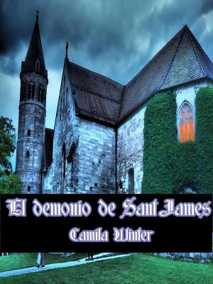 Book cover of El demonio de Saint James