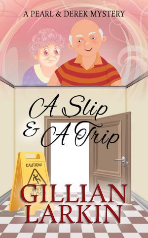 Cover of the book A Slip And A Trip by Gillian Larkin