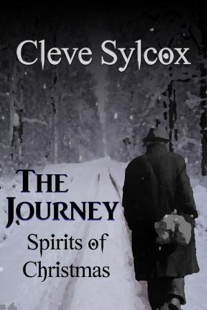 Cover of the book The Journey by CP Bialois