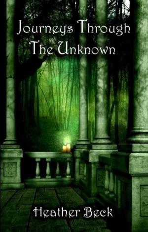 Book cover of Journeys Through The Unknown
