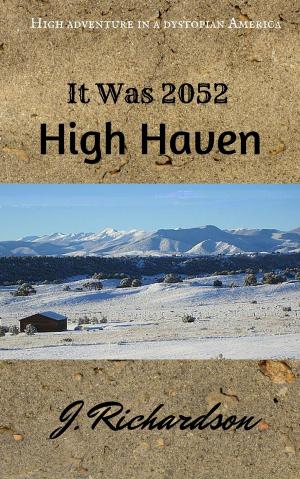 Cover of the book It Was 2052, High Haven by J. Richardson