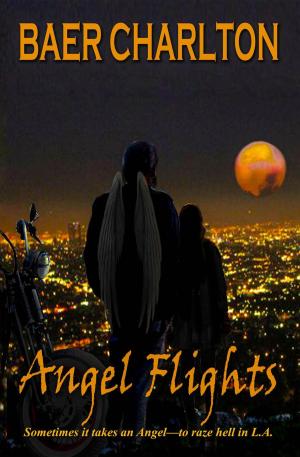 bigCover of the book Angel Flights by 