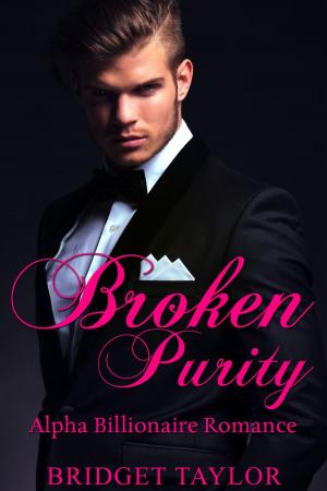 Cover of the book Broken Purity by Lea Bronsen