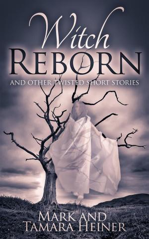 Book cover of Witch Reborn and Other Twisted Short Stories