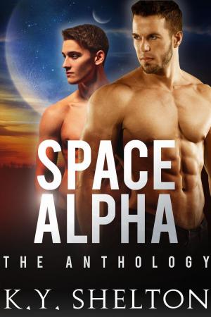 Cover of the book Space Alpha: The Anthology by Loretta Kemsley