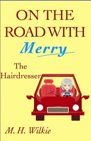 Cover of the book The Hairdresser by Leryl Joseph