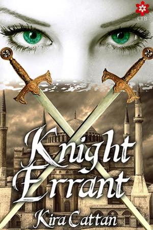 Cover of the book Knight Errant by T.D. Fuller