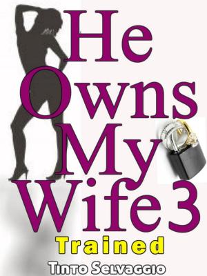 Cover of the book He Owns My Wife 3 - Trained by Kaz Kendrick