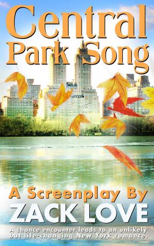 Book cover of Central Park Song: an Unexpected New York Romance that Changes Everything.