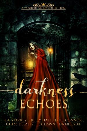Cover of the book Darkness Echoes by Kate Thomas, Christina Kelly, Kathy-Lynn Cross, Julie Wetzel, S.K. Gregory, Amber Hassler