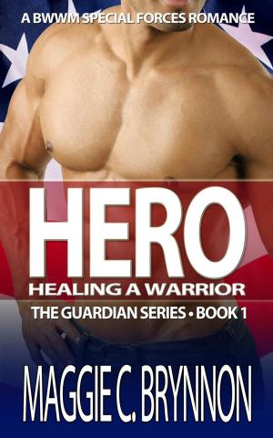 Cover of the book Hero: Healing a Warrior, Book 1 by Ana Blaze