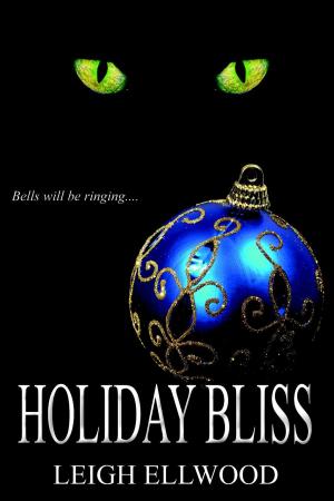 Cover of the book Holiday Bliss by Diane Haeger