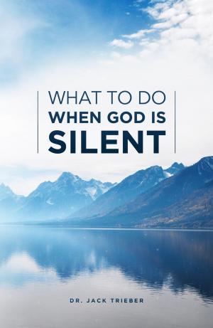 Cover of What To Do When God Is Silent