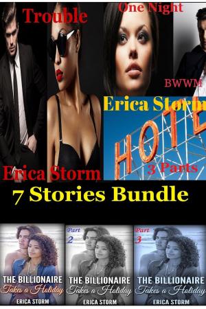 Cover of the book 7 Stories Bundle by Erica Storm
