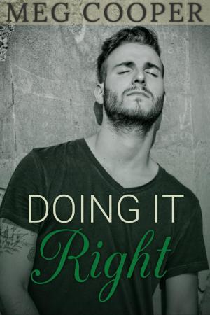 Cover of the book Doing it Right by Meg Cooper