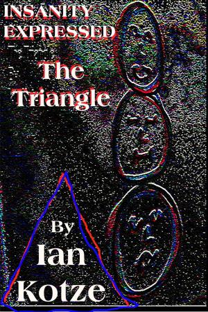 bigCover of the book Insanity Expressed - The Triangle by 