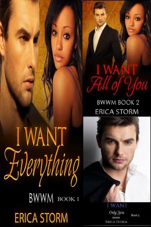 Cover of the book I Want: Everything Box Set by Erica Storm