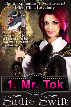 Cover of the book Mr Tok by Sadie Swift