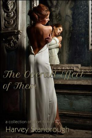 Cover of the book The Overall Effect of Them by Lynn Mann, Nandy Ekle, George P. Farrell, Mary Vettel, Andrew Waters, Marilyn Gilbert Komechak, Joe Del Priore, Charles Finn, Ben Erlichman, Dawn Knox, Barton Paul Levenson