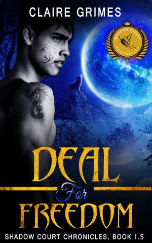 Cover of the book Deal For Freedom: Shadow Court Chronicles, Book 1.5 by S.L. Naeole