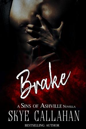 Cover of the book Brake by Stephanie Franklin