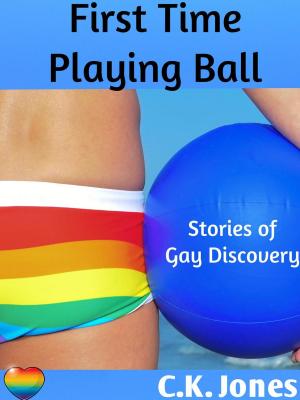 bigCover of the book First Time Playing Ball: Stories of Gay Discovery by 