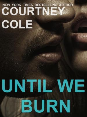 Book cover of Until We Burn